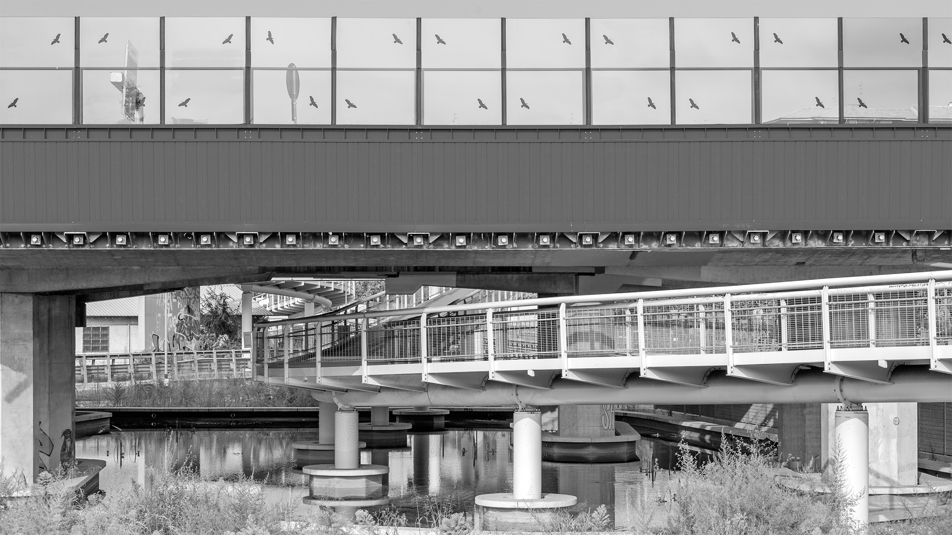 Vista ponti e passerella ciclopedonale (foto G. Albo)
